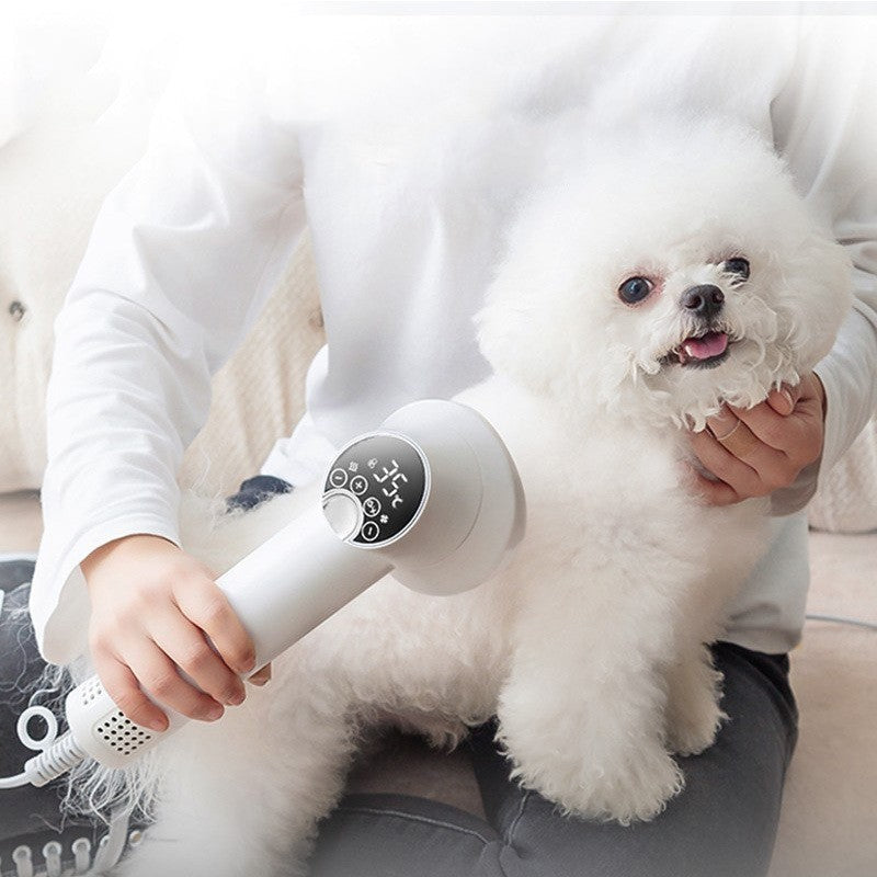Paw Brew™ Smart Pet Dryer & Grooming Brush – Quiet, Fast & Fuss-Free